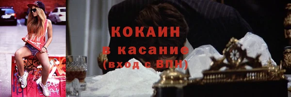 сатива Лагань