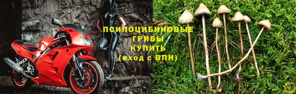 сатива Лагань