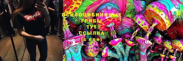 сатива Лагань