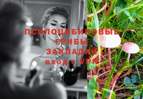 сатива Лагань