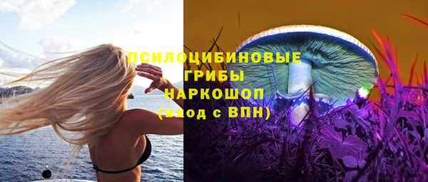 сатива Лагань