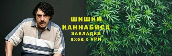 Альфа ПВП Ладушкин