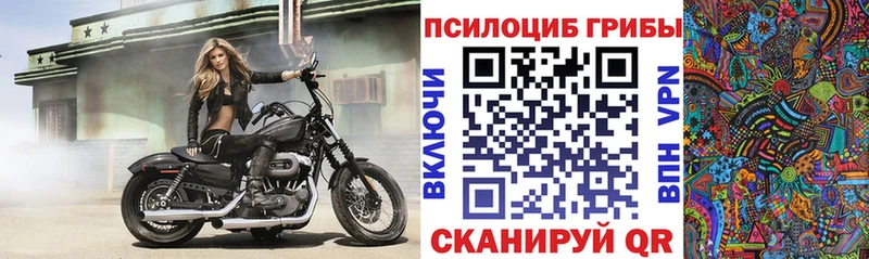 Галлюциногенные грибы мухоморы Павловская