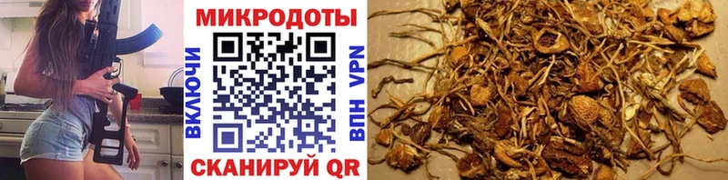 Псилоцибиновые грибы Magic Shrooms  blacksprut как зайти  Павловская 